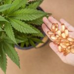 ¿Qué medicamentos NO debo mezclar con CBD?